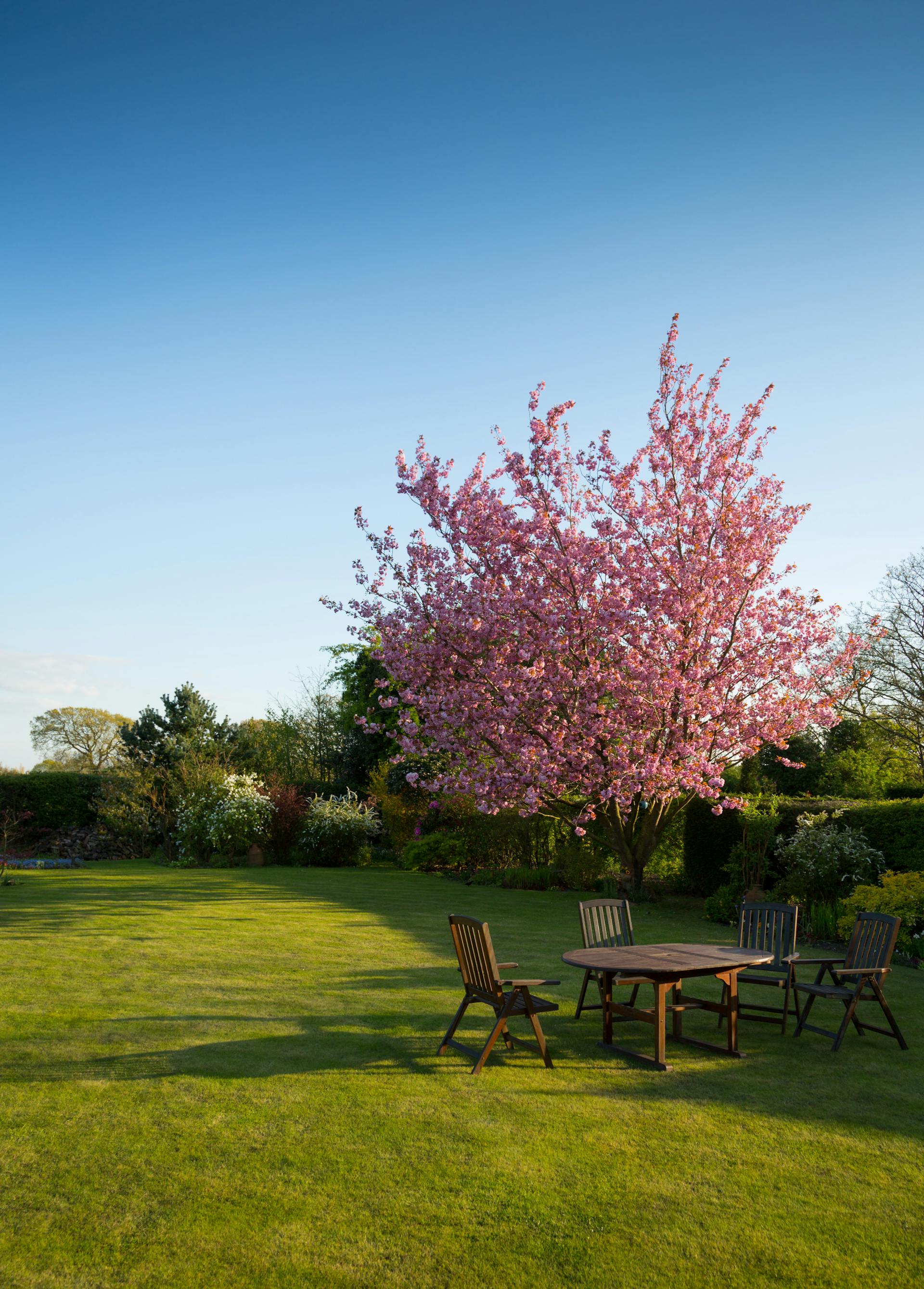 Jardin-Espace Vert